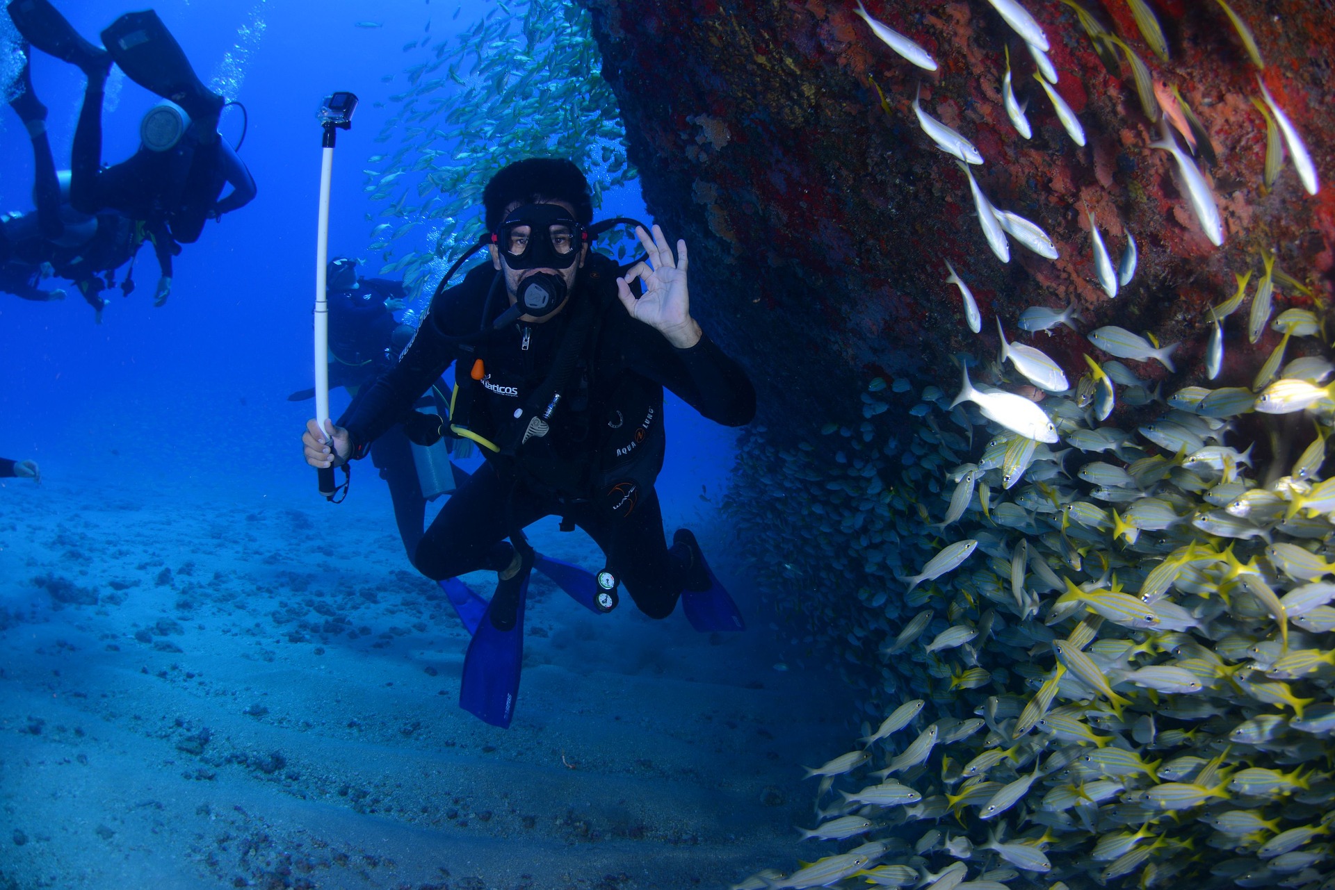 Actividades de buceo